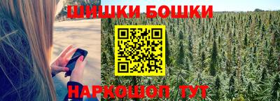 МДПВ Ижевск