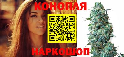 молекула духа Каменск-Шахтинский